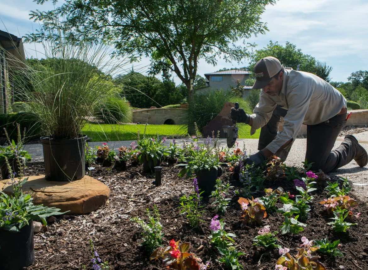 Flower bed refreshes